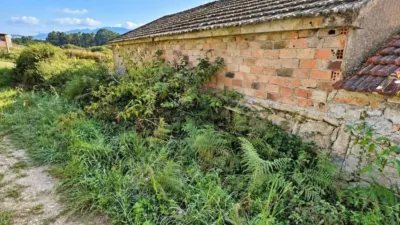 Chalet in Ribeira photo 3