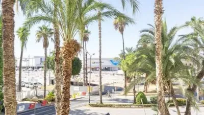 Pis – Torrevieja - Vista 3