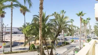 Pis – Torrevieja - Vista 4