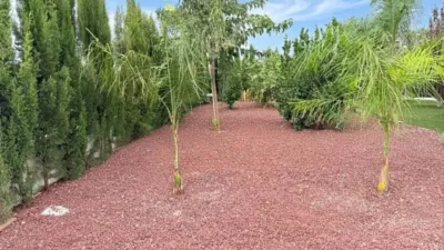 Casa – Mutxamel - Vista 4