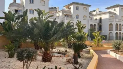 Pis – Torrevieja - Vista 2