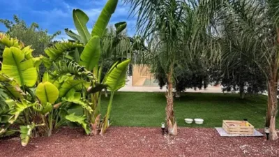 Casa – Mutxamel - Vista 5
