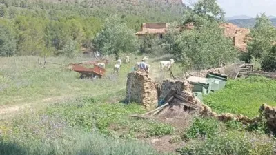 Terreno en venta en Calle Carretera La Dehesa de Letur No Number - Vista 3