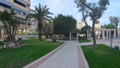 Piso – Alicante - Alacant - Vista 3