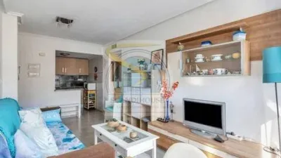 Pis – Torrevieja, Urbanización Rocío del Mar, Urbanización Punta Prima - Més