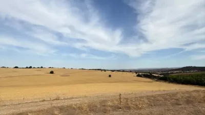Terreno en venta en Calle del Rosario - Vista 5