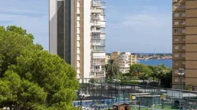 Pis – Orihuela - Vista 5