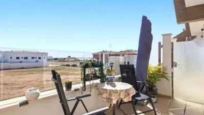 Pis – Pilar de la Horadada - Vista 3