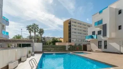 Piso – Torrevieja - Vista 3