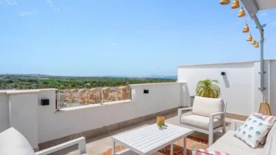 Pis – Orihuela - Vista 2