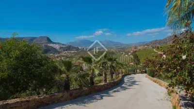 Rustic Finca in Ardales photo 43