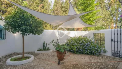 Rustic Finca in Bermejo photo 29