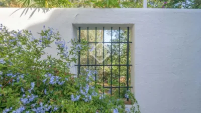 Rustic Finca in Bermejo photo 30