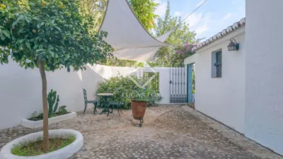 Rustic Finca in Bermejo photo 32