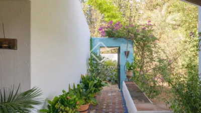 Rustic Finca in Bermejo photo 33
