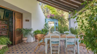 Rustic Finca in Bermejo photo 34