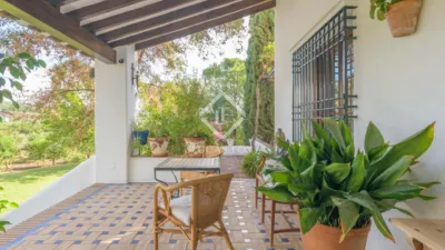 Rustic Finca in Bermejo photo 36