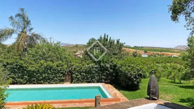 Rustic Finca in Bermejo photo 44