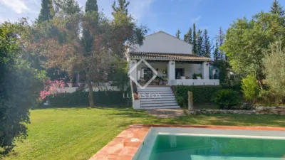 Rustic Finca in Bermejo photo 45
