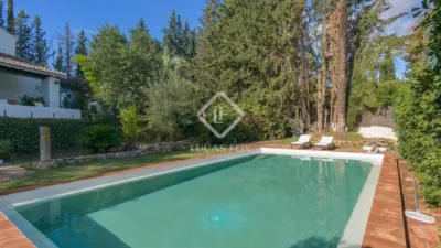Rustic Finca in Bermejo photo 46