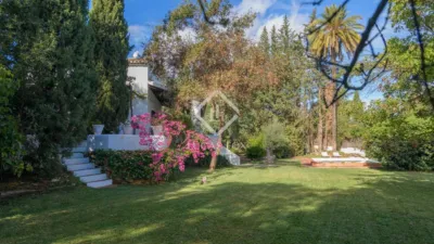 Rustic Finca in Bermejo photo 48