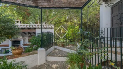 Rustic Finca in Bermejo photo 49