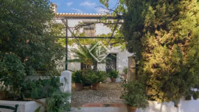 Rustic Finca in Bermejo photo 53