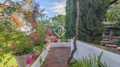 Rustic Finca in Bermejo photo 59