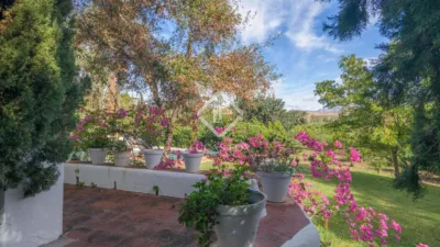 Rustic Finca in Bermejo photo 60