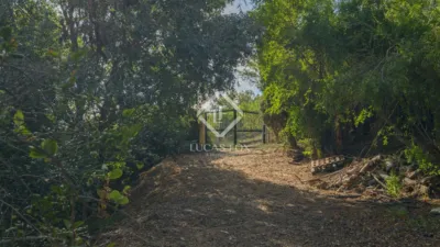 Rustic Finca in Bermejo photo 67