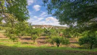 Rustic Finca in Bermejo photo 70