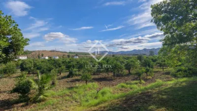 Rustic Finca in Bermejo photo 71