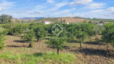 Rustic Finca in Bermejo photo 72