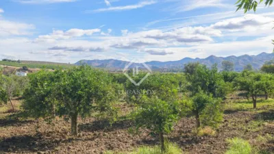 Rustic Finca in Bermejo photo 73