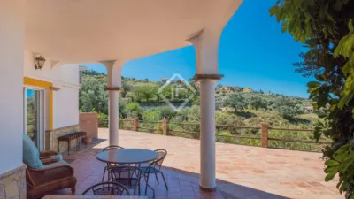 Rustic Finca in Alcaucín photo 39