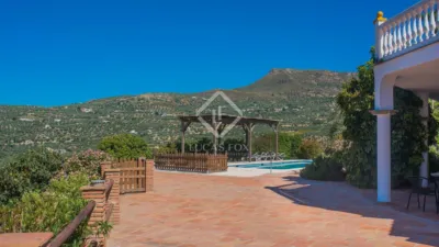 Rustic Finca in Alcaucín photo 3