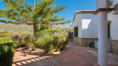 Rustic Finca in Alcaucín photo 40