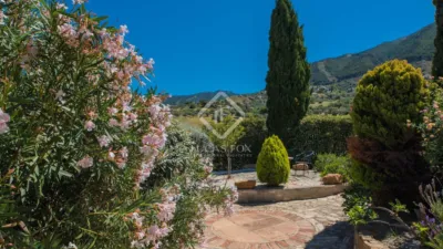 Rustic Finca in Alcaucín photo 7
