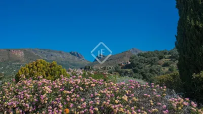Rustic Finca in Alcaucín photo 8
