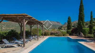 Rustic Finca in Alcaucín photo 9