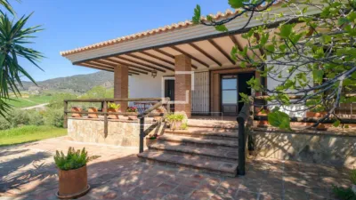 Rustic Finca in Bermejo photo 4