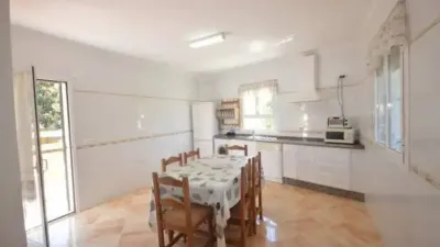Chalet en alquiler en Calle Avenida 28 de Febrero, 68, Conil de la Frontera de 900 €<span>/mes</span>