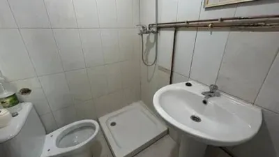 Miniatura 12