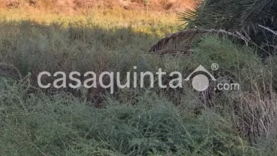 Casa – Catral - Més