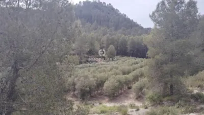 Casa - Vista 4