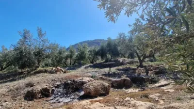 Rustic property in Canjáyar photo 30