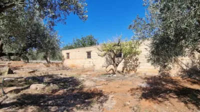 Rustic property in Canjáyar photo 33