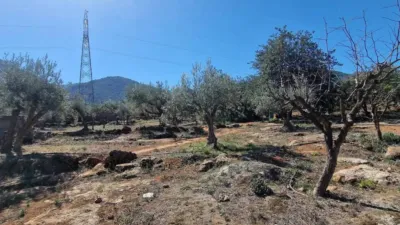 Rustic property in Canjáyar photo 34