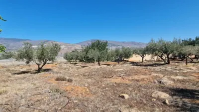 Rustic property in Canjáyar photo 35