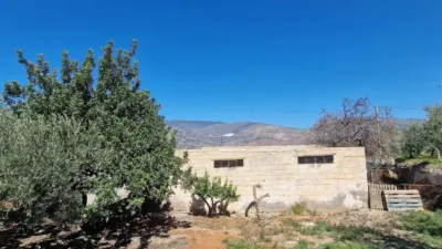Rustic property in Canjáyar photo 57